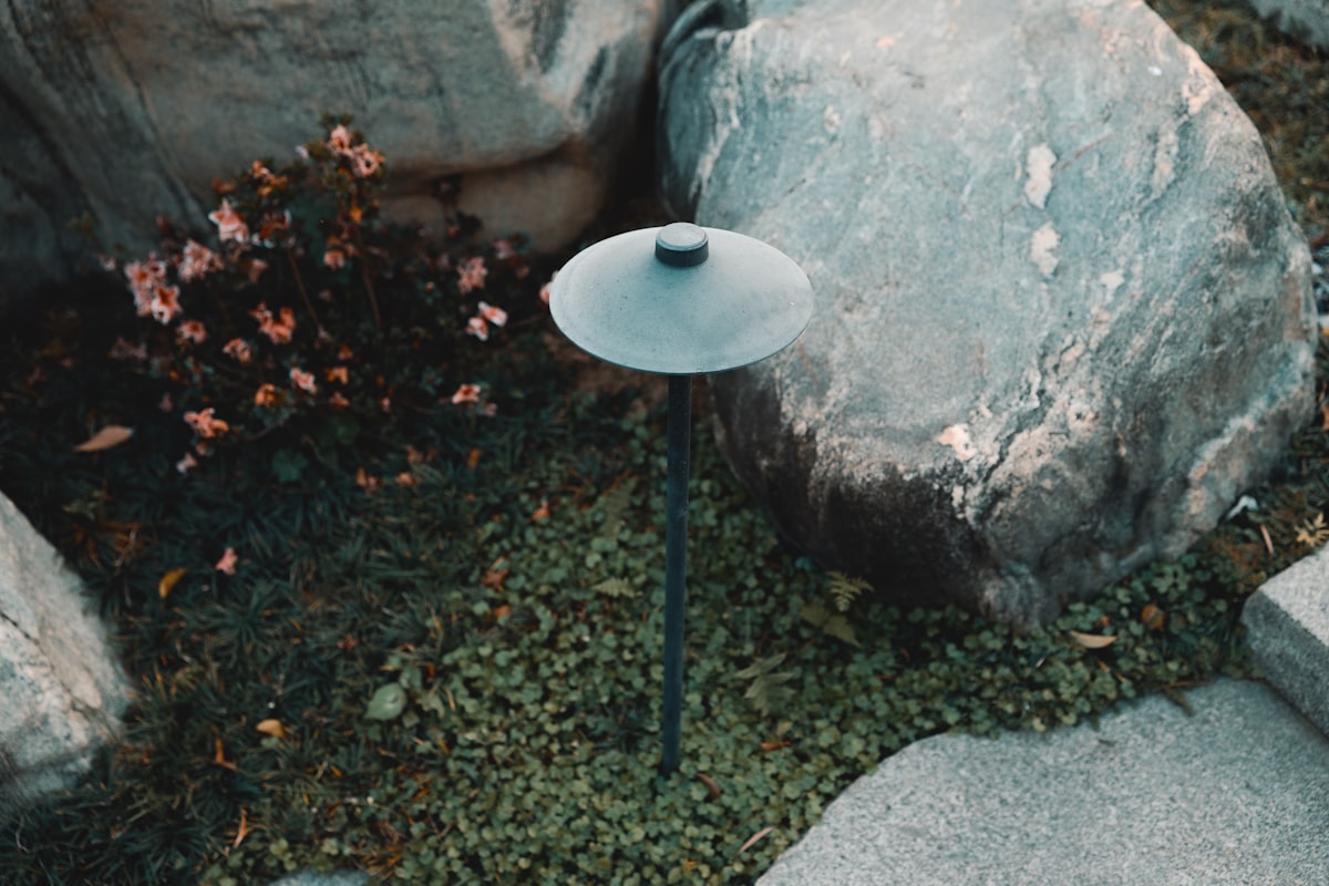 Pathway with outdoor garden lighting at night