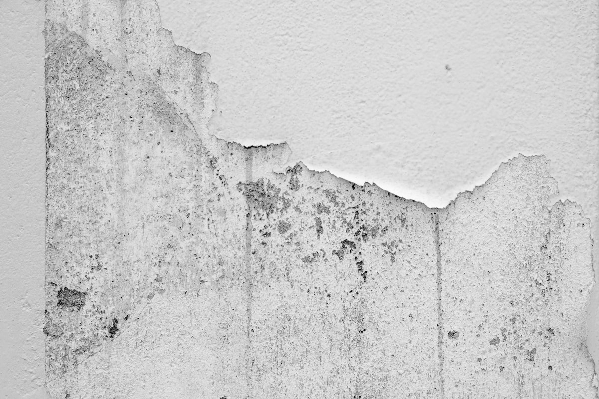 Drywall repair patch on an interior wall